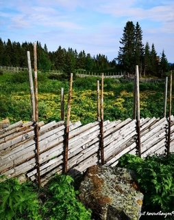 ÅRSREGNSKAP 2024 GROPMARKAS VENNER