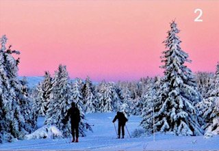 FORSLAG – VEDTEKTSENDRING GROPMARKASVENNER 2024